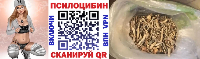 Псилоцибиновые грибы ЛСД  Купить закладки  Покачи 